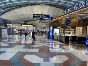 Indicaciones a puertas E1-E10 y tiendas en el aeropuerto