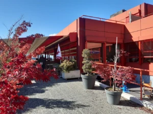 Entrada al aeropuerto de Sion con vegetación y edificio rojo