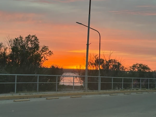 Cálido atardecer sobre la costa con vegetación baja