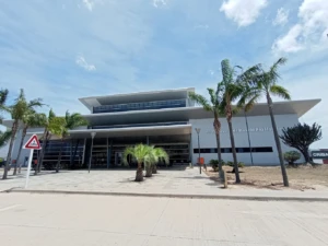 Palmeras y señalización frente al aeropuerto