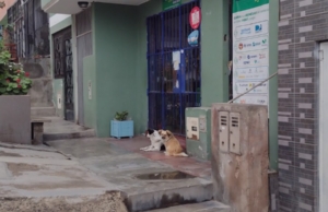 Agente Interbank – Cl. 3 Mz. I Lt. 8