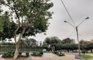 Alameda de la Integración