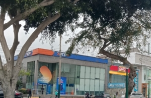 BCP – Av Javier Prado Oeste 607