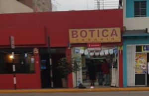 Bótica Cesarid – Av. Petit Thouars 2630