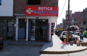 BOTICA SALUD Y VIDA – Los Claveles Lt 1