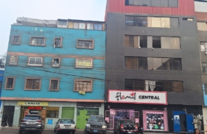 BOTICAS FLORA Y VIDA – Av. México 1418