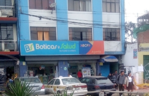 Boticas y Salud – Av. Palermo 541