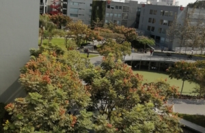 Universidad Peruana de Ciencias Aplicadas