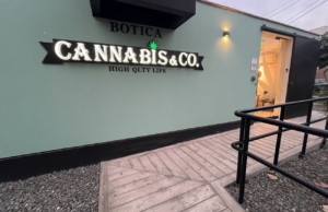 Cannabisco.pe – Av. Angamos Este
