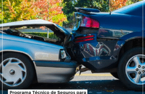 EViS – Escuela Virtual de Riesgos y Seguros