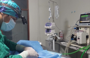 Servicios Médicos Veterinarios 24 horas Oyanguren – Sede Surquillo
