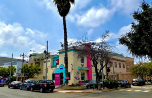 Clínica Veterinaria Acu Li – Av. Petit Thouars 3991