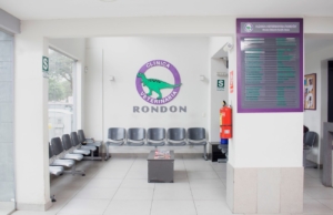 Clínica Veterinaria Rondón – Av. Pedro Venturo 104