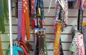 Veterinaria Pet Toys – Av. Felipe Arancibia 785