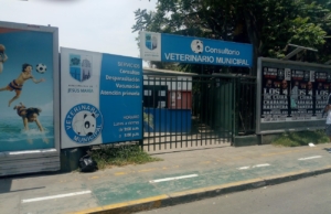 Consultorio Veterinario Municipal – Av Salaverry Cuadra