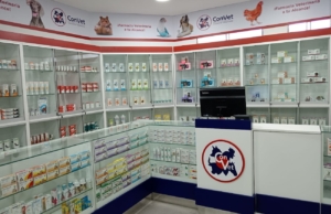 Convet – San Borja – Av. Angamos Este 2401