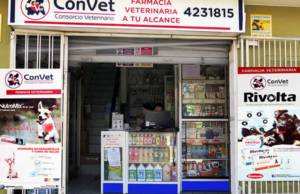 Convet – Santa Beatriz