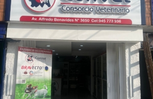 Convet – Surco – Av. Alfredo Benavides 3630
