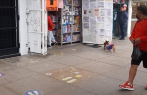 Corresponsal Interbank – Sector Los Angeles Mz. 73 Lt. 17