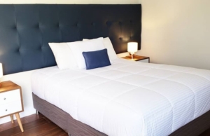 IFE B&B (Inka Frog Exclusive)