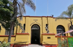 Museo de Historia Natural UNMSM