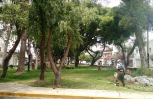 Parque Manuel Boza