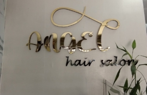 Angel Hair Salon – Elías Aguirre 281