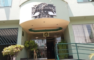 Hotel Los Cisnes del Marzano – Av. Tomas Marsano 2230