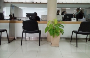 Municipalidad de Surquillo