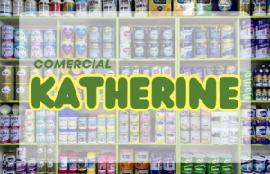 Comercial Katherine – Jirón Santa Rosa 831
