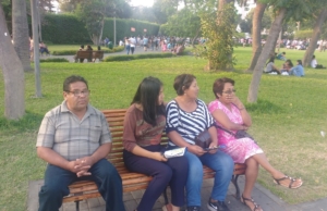 Agente Bcp – Torres Paz 801