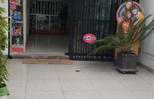 Farmacia Niño de Ayavi – Jirón Loma Umbrosa 418