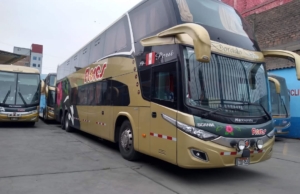 Flores (Dorado Vip) – Av. Paseo De La República 627