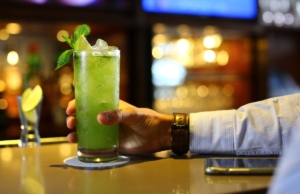 Hotel Pradera Verde Inn