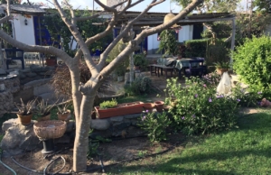 Comunidad Lorenia – Lurín