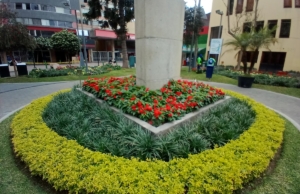 Flying Dog Hostel B&B