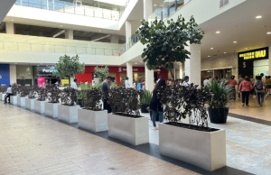 BCP Plaza San Miguel – Boulevard Plaza Mantaro