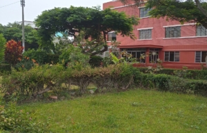 Parque Serafina Quinteras