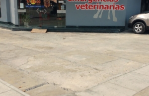 Clínica Veterinaria Pet Center – Miraflores