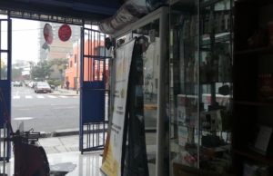 PETFARMA – Av. César Canevaro 861