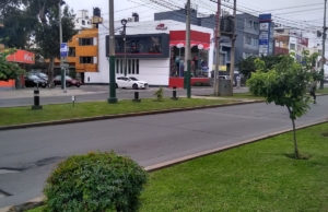 Pet’s Place – Clínica Veterinaria Y Petshop