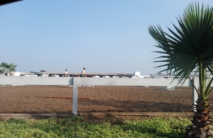 Club Hípico Peruano