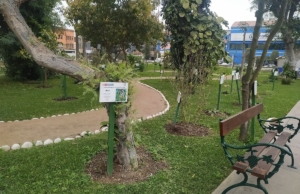 Jardín Botánico de Plantas Medicinales