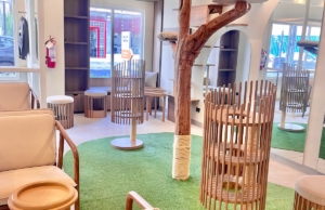 Gatú Cat Café – Calle Berlín 359