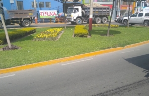 Agencia Crediscotia Lurín – P4GH+94G