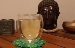 Sangha, brindar consciente – Av. José Pardo 570