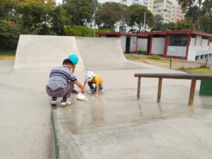 Skatepark Jesús María