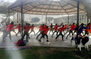 CIAM – Alameda Del Corregidor