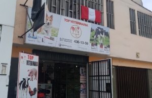 Top Veterinaria – Salamanca – Av. Circunvalación 2673