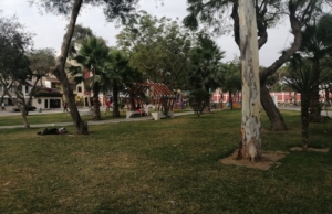 Parque Carlos Lisson